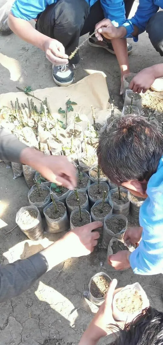 Green Seekers Activity